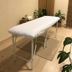 Sábana para camilla en plastitex (c6)