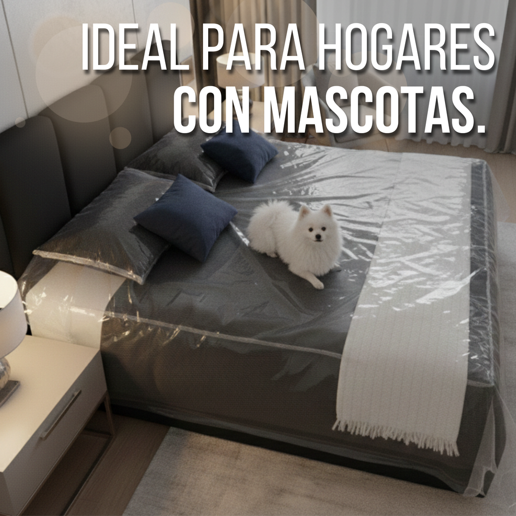 Forro protector omi en vinilo transparente (c6)